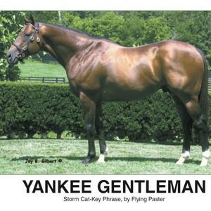 Meet your Posher, Wilton